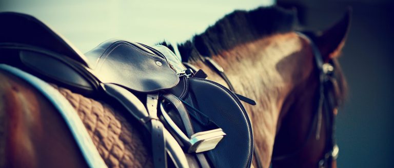 Motivkatalog 80 Reiten